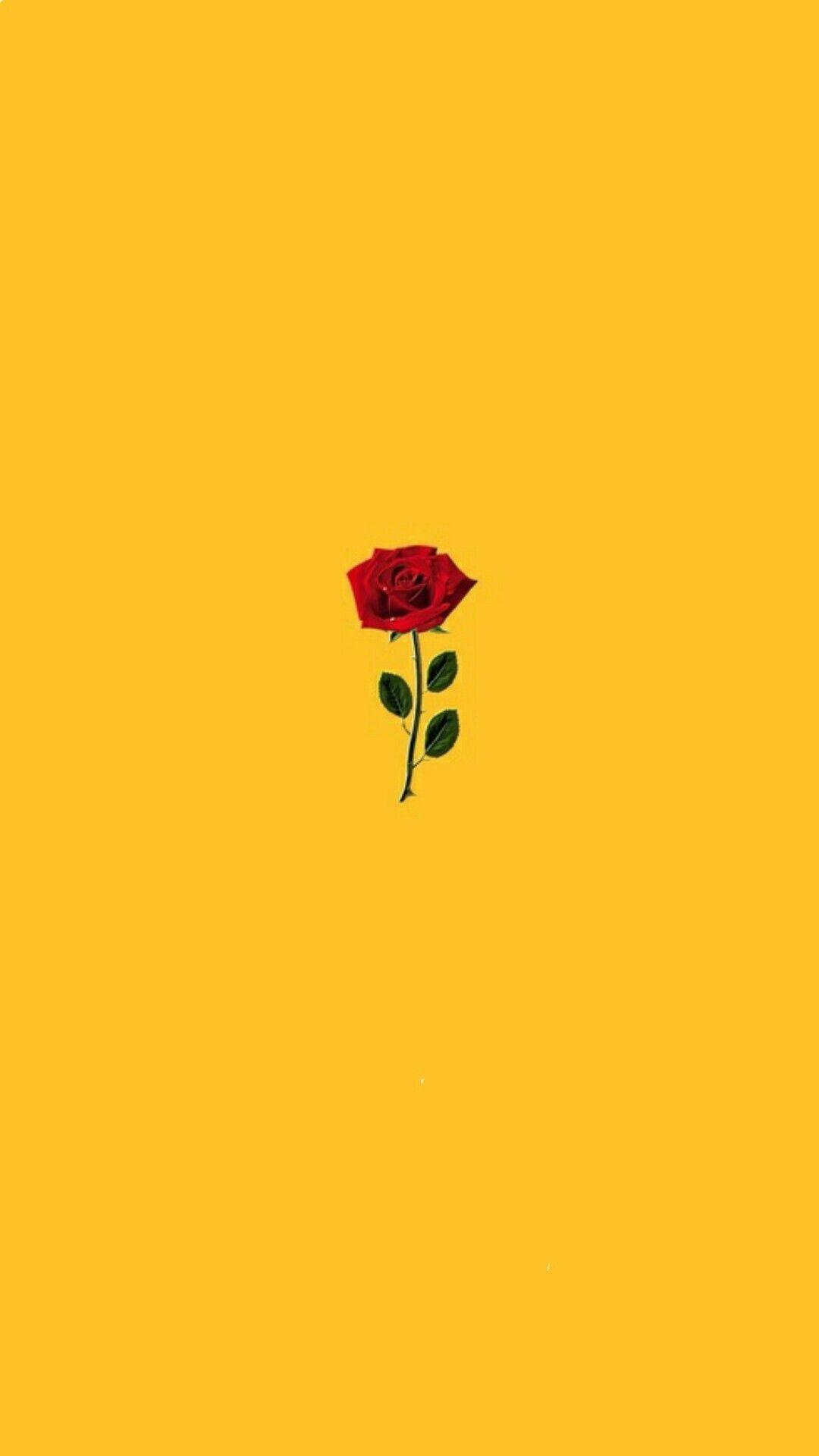 1080x1920 wallpaper. iPhone wallpaper yellow, Sunflower wallpaper, Aesthetic iphone wallpaper