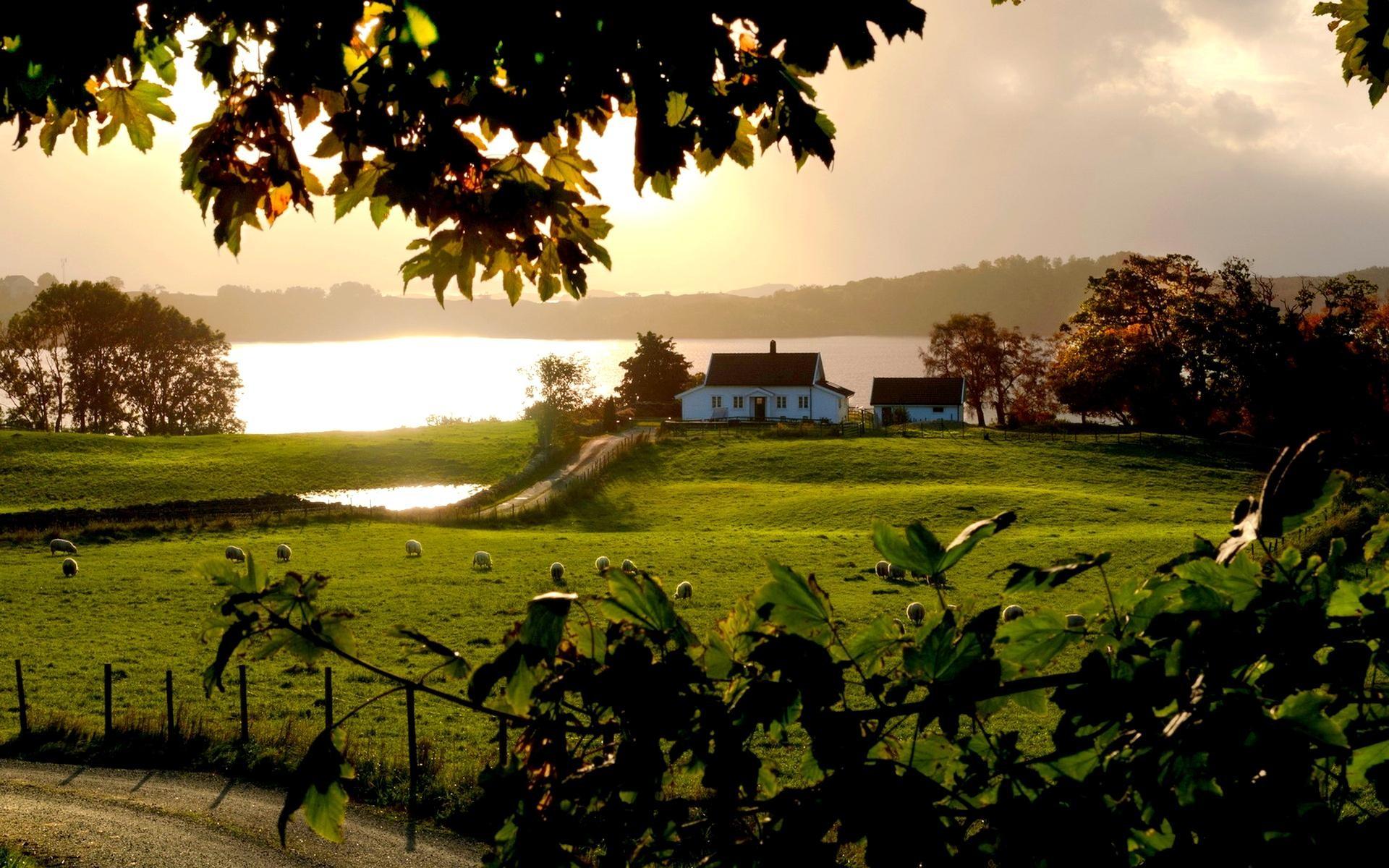 1920x1200 Farm Background And Wallpaper