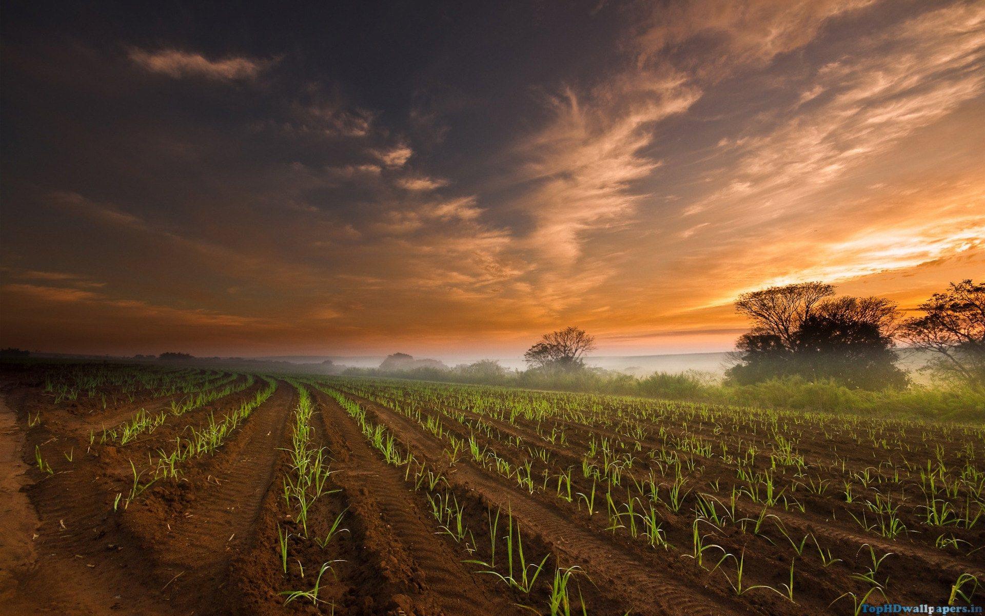 1920x1200 Farm Wallpaper For Desktop