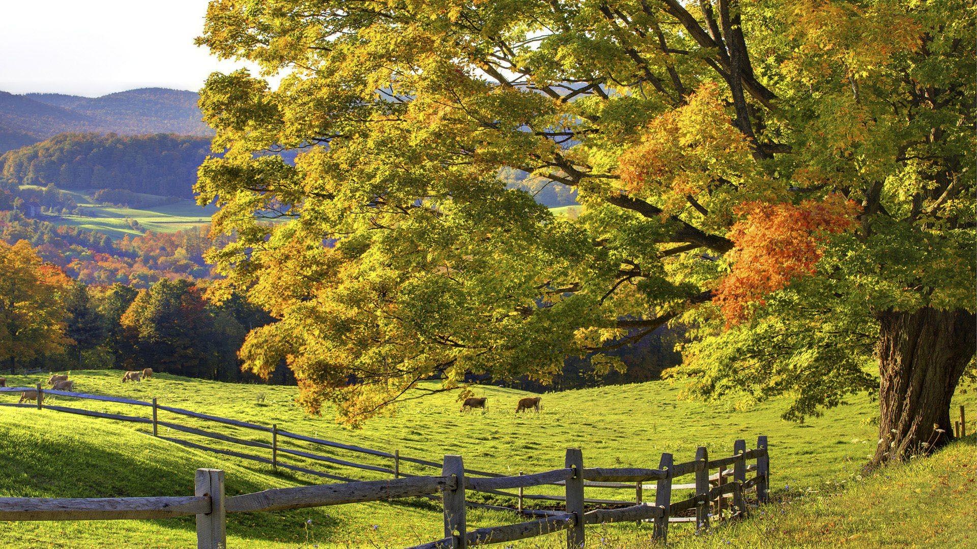 1920x1080 Farm Scenes Wallpaper