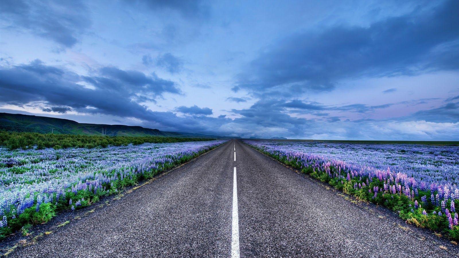 1600x900 FREE WALLPAPERS WALLPAPERS WALLPAPERS: Iceland Road