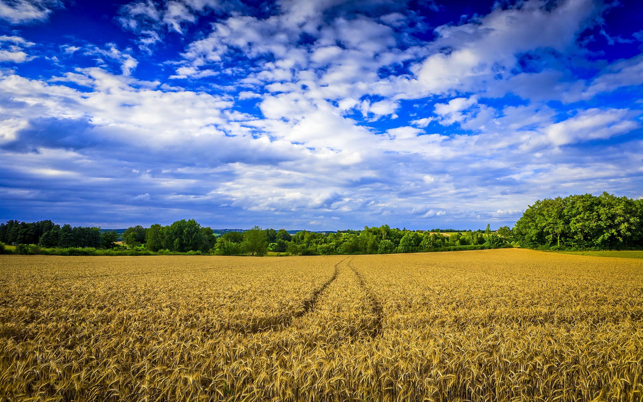 2560x1600 Farm Wallpaper HD