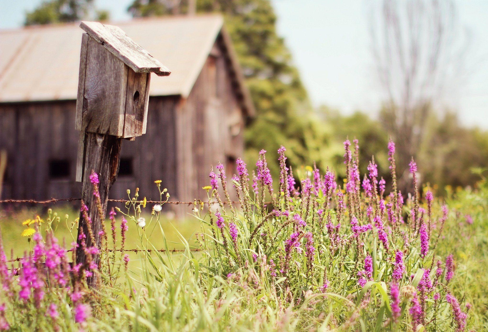 2040x1390 Farm Summer Wallpaper