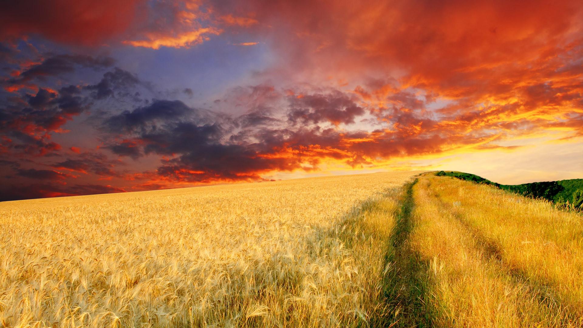 1920x1080 Farm Background And Wallpaper