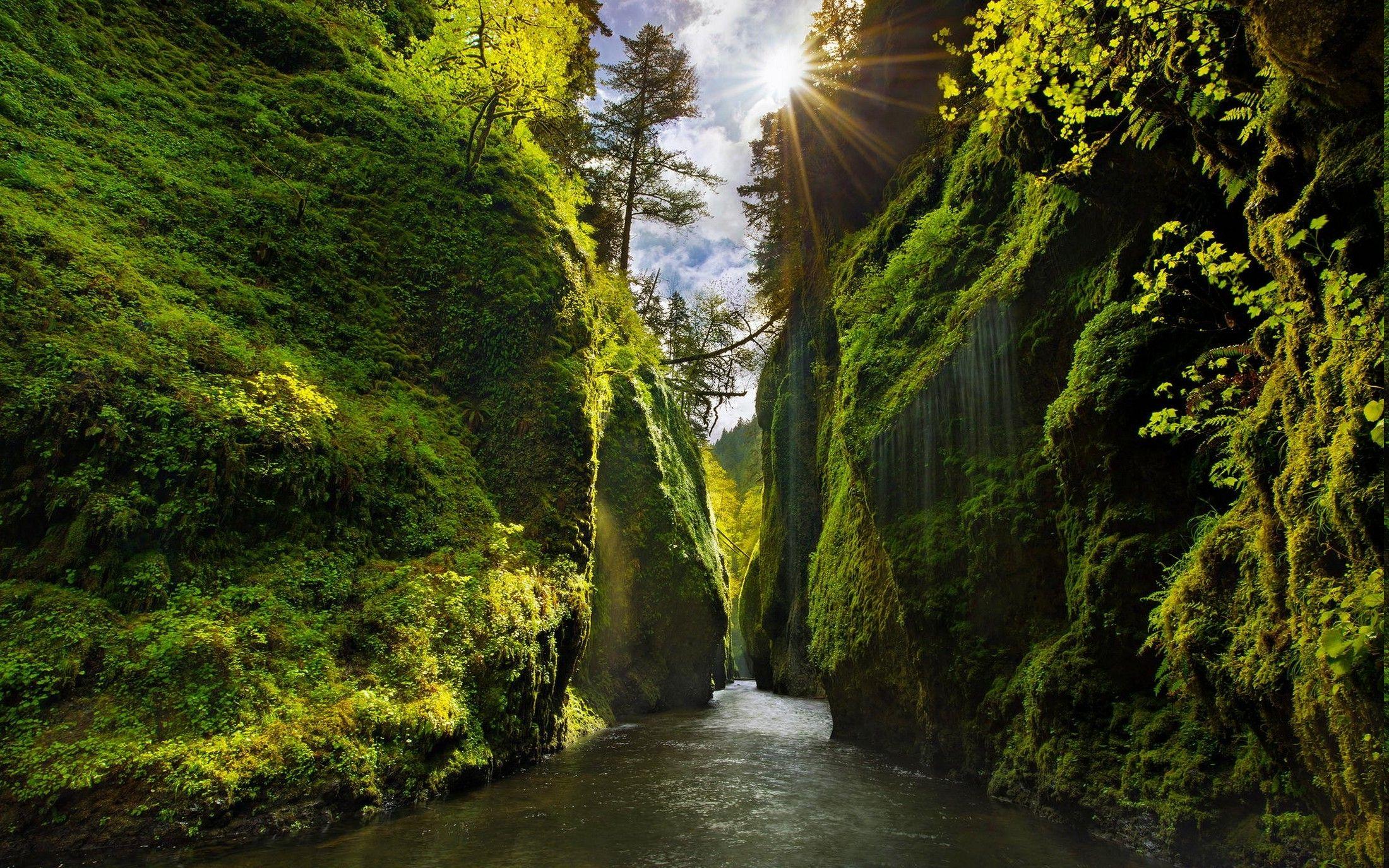 2200x1375 nature, Landscape, Canyon, Oregon, Green, Sun Rays, Moss, River