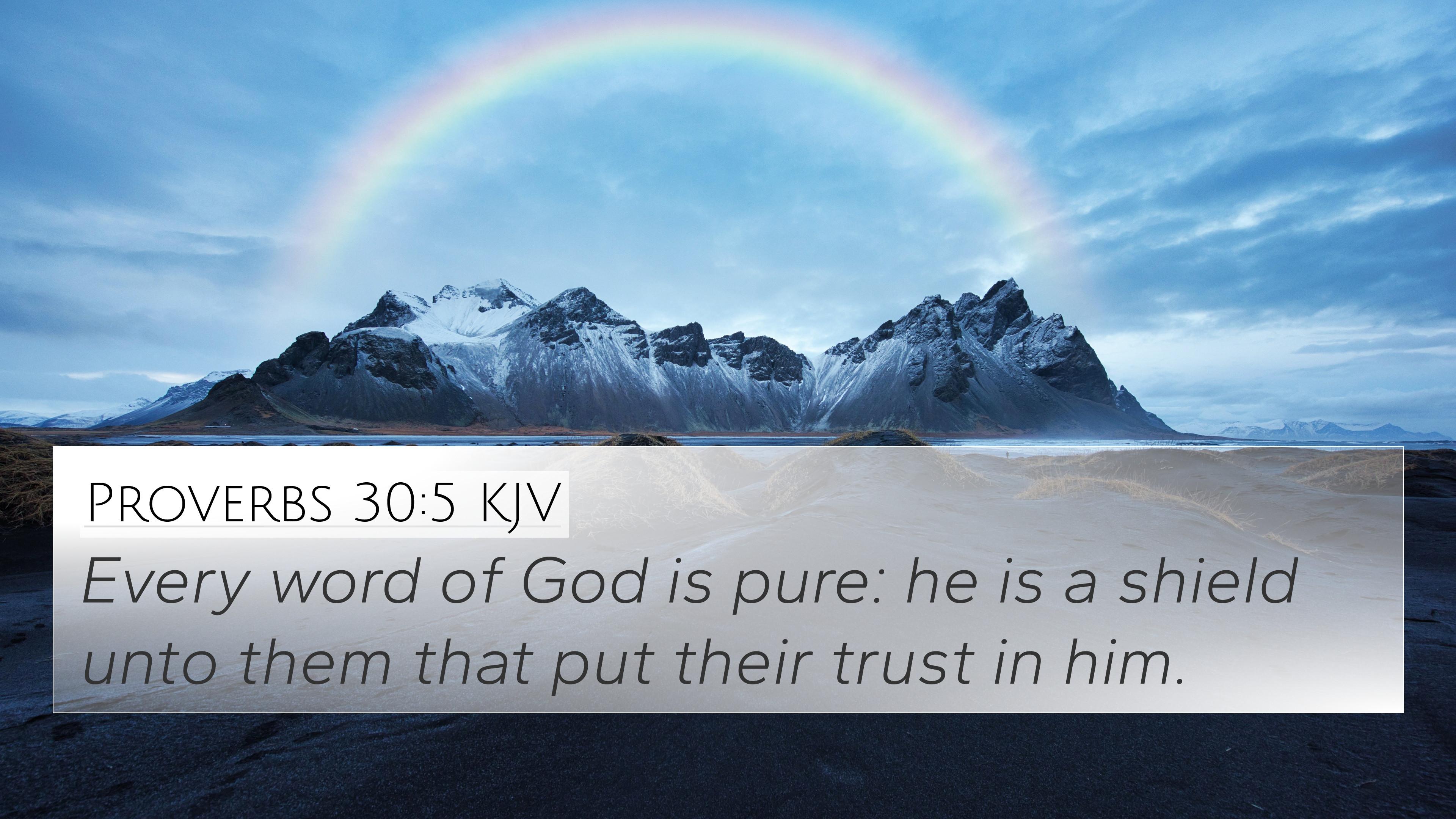 3840x2160 Proverbs 30:5 KJV 4K Wallpaper word of God is pure: he is a shield unto
