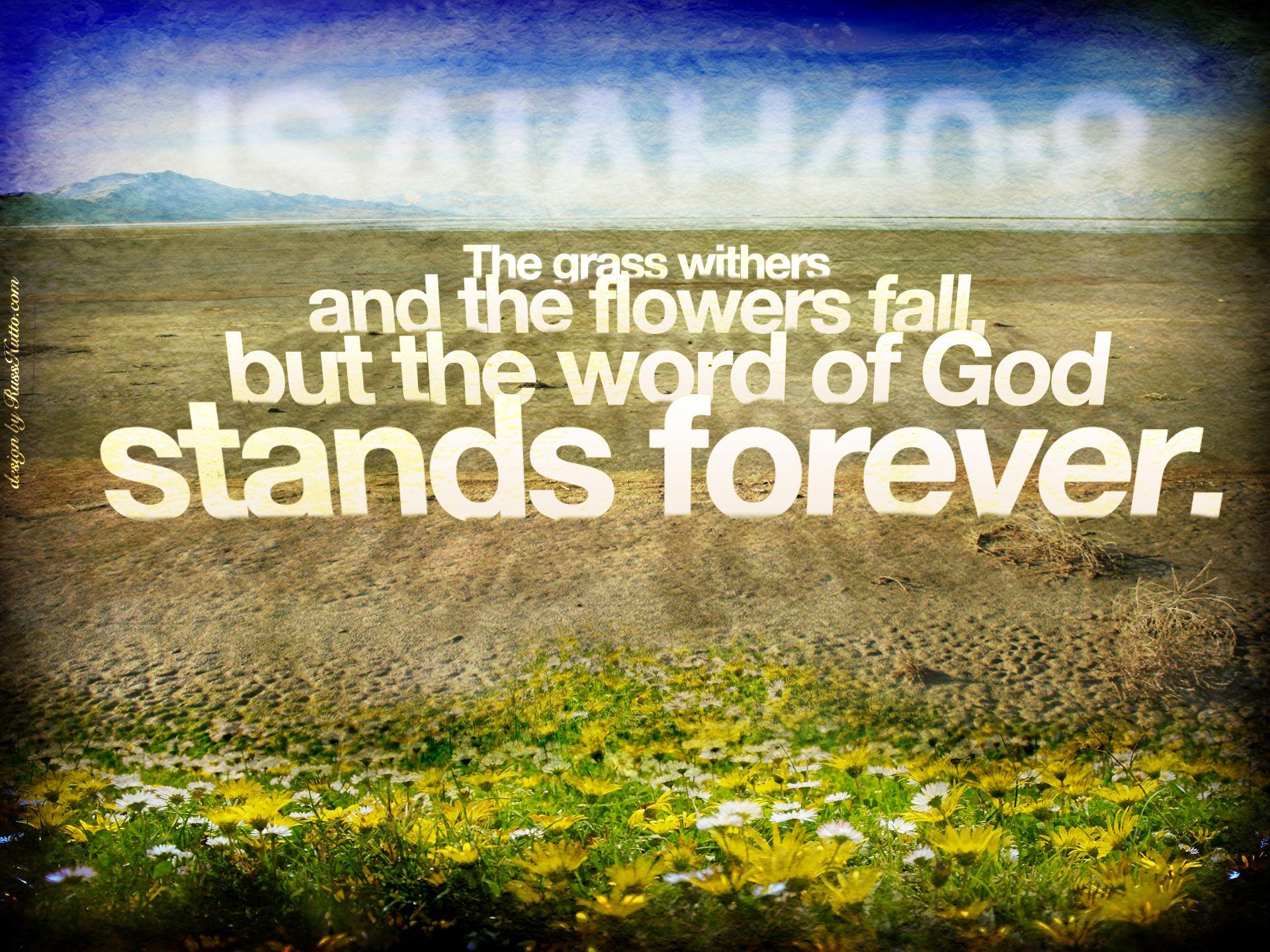 1920x1440 The Will of God Wallpaper