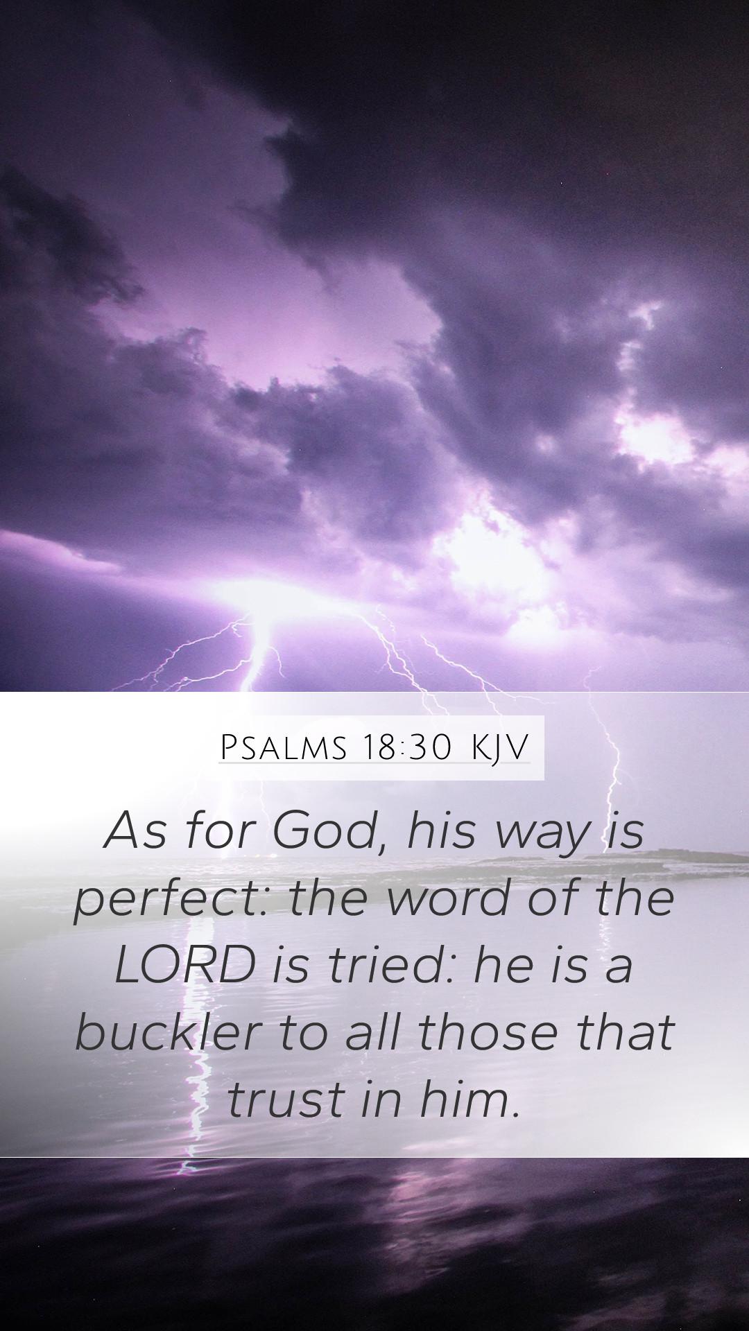 1080x1920 Psalms 18:30 KJV Mobile Phone Wallpaper for God, his way is perfect: the word of the