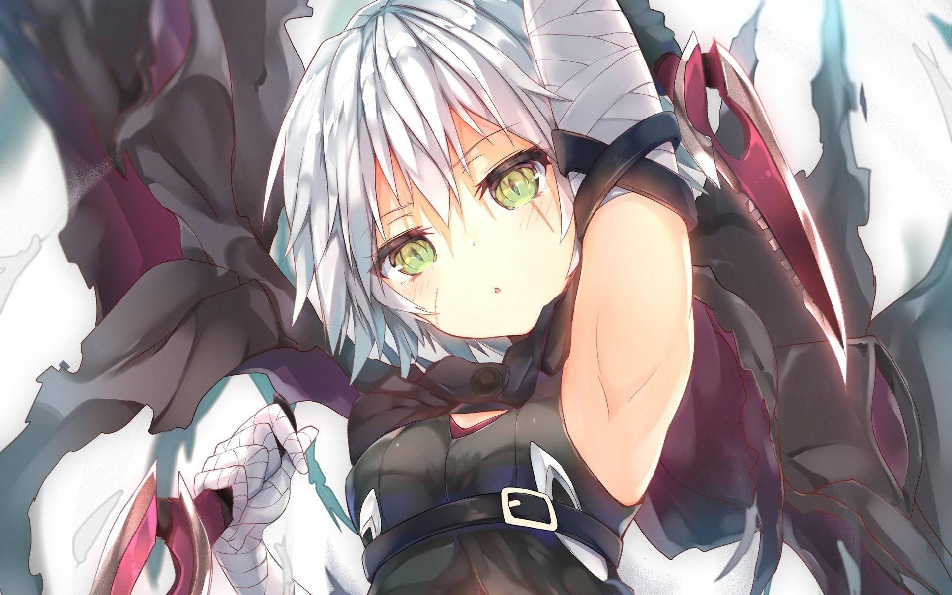 1920x1200 Download Astolfo Wallpaper