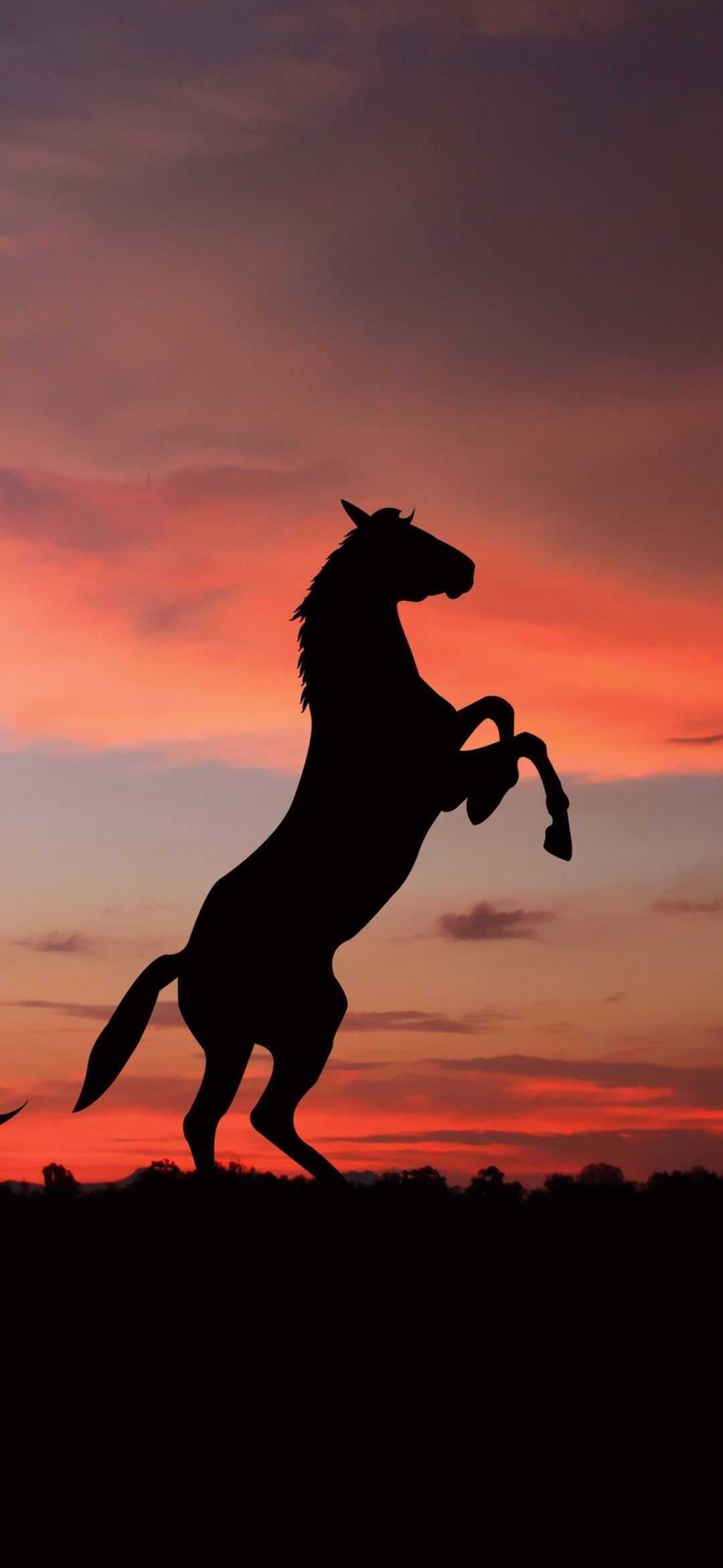 1080x2340 4K Horse Wallpaper