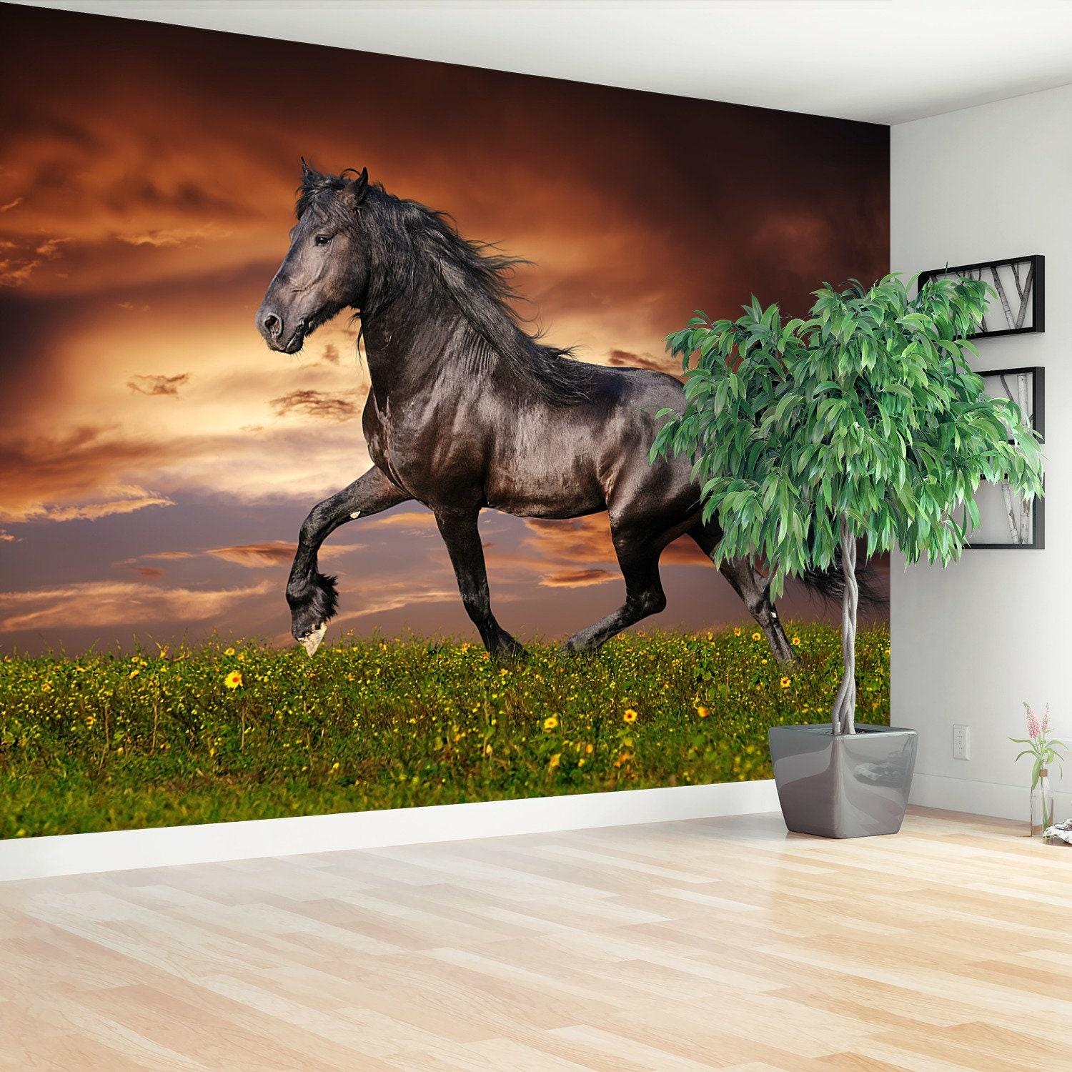 1500x1500 Friesian Horse Black Peel&stick Or Non Woven Photo Wallpaper