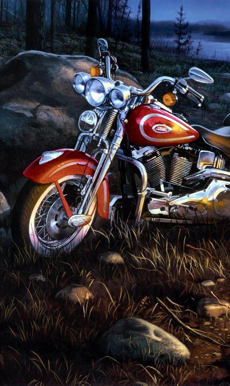 800x1340 Harley Davidson Phone Wallpaper