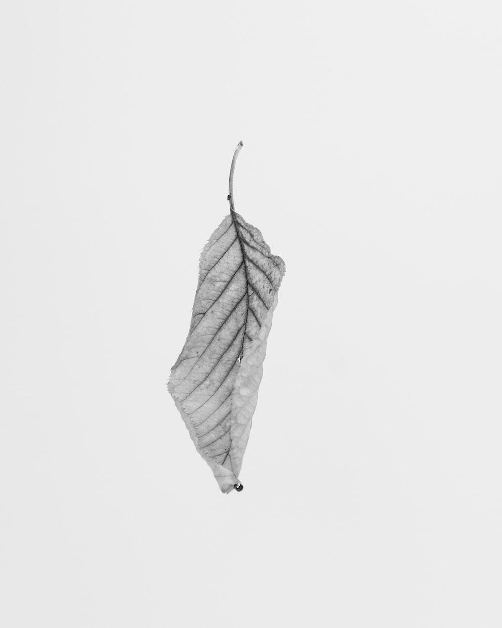 1000x1250 Minimal Black and White best free black, minimal, white and grey photo