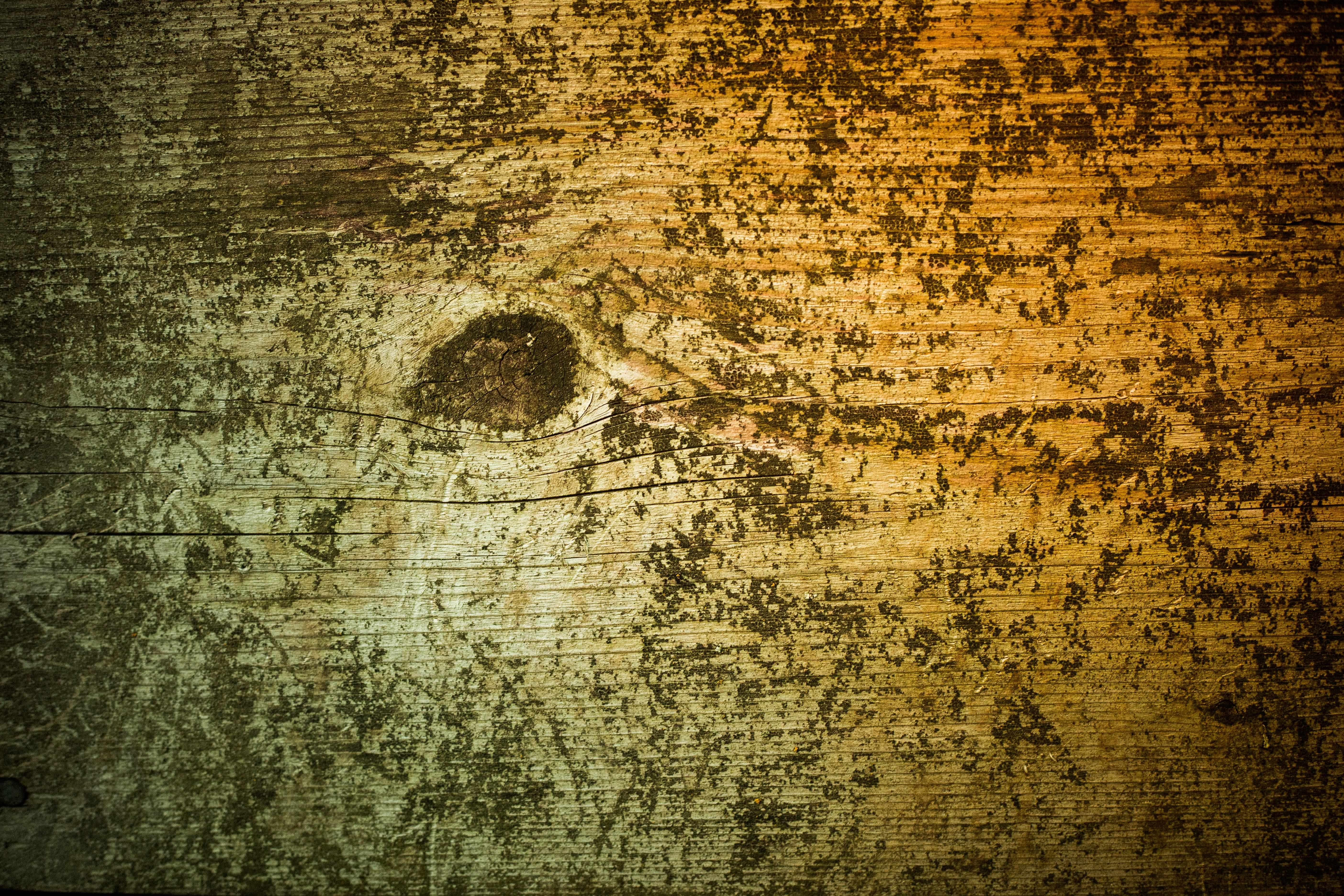 5616x3744 FREE Distressed Wood Texture Designs in PSD