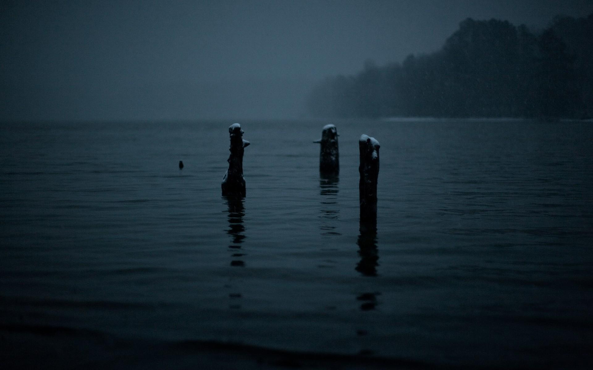 1920x1200 gloomy, dark, winter, snowing, mist, lake Gallery HD Wallpaper