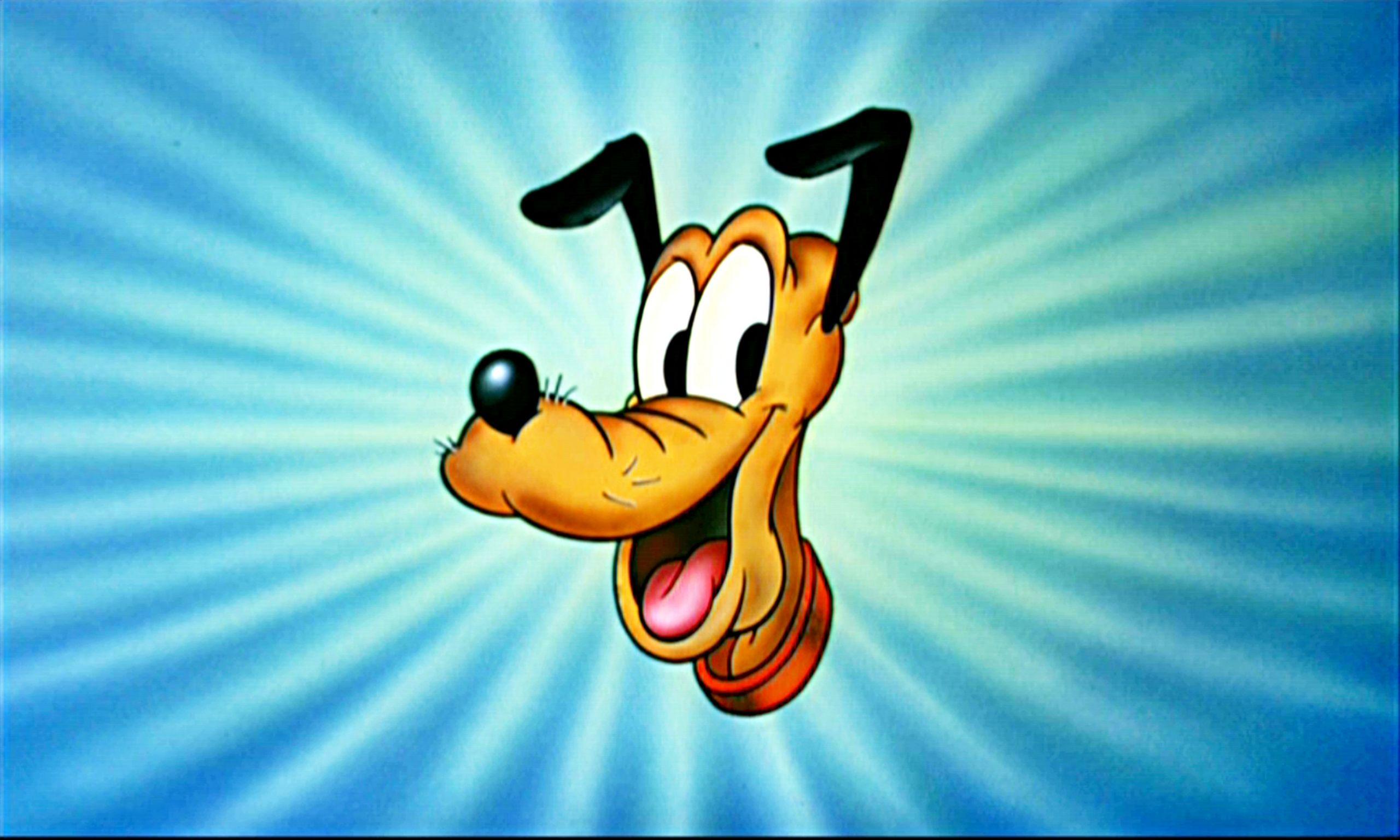 2560x1537 Mickey and Friends image Pluto Wallpaper HD wallpaper