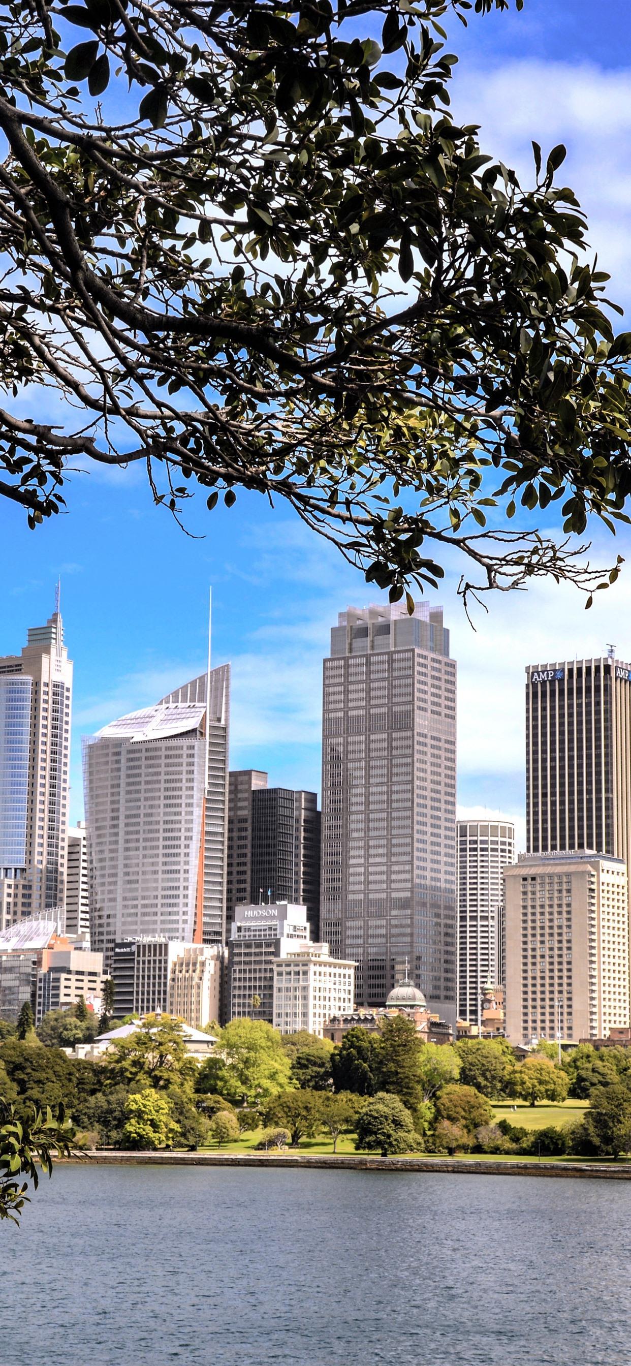 1242x2688 Sydney, Australia, Lake, Trees, Skyscrapers 1242x2688 IPhone 11 Pro XS Max Wallpaper, Background, Picture, Image