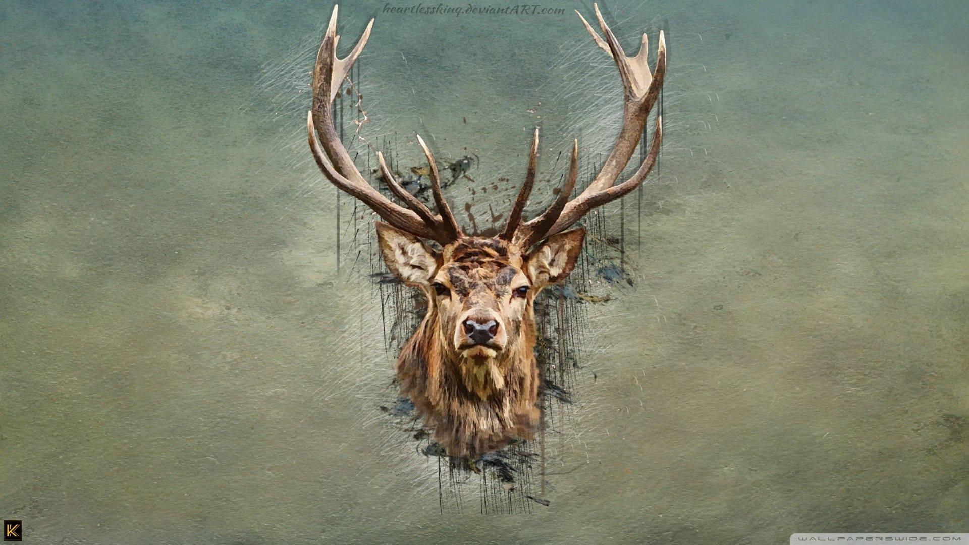 1920x1080 Download Deer Wallpaper