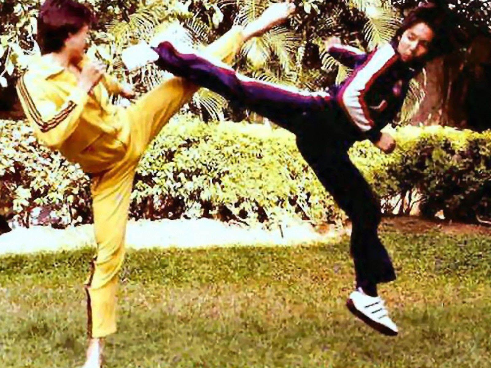 1600x1200 Karate Kick Wallpaper