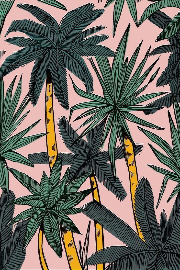 736x1104 iamlew