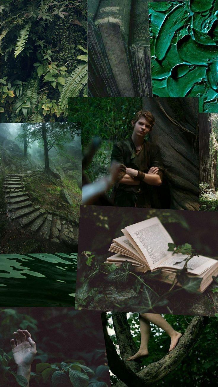 736x1308 Neverland. Peter pan ouat, Peter pan wallpaper, Peter pan art