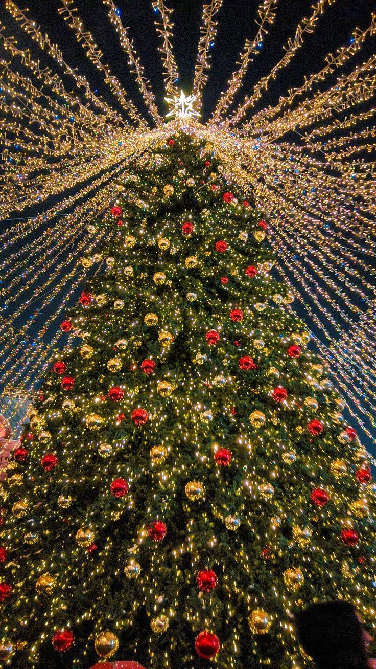 736x1308 aesthetics. Christmas dreaming, Christmas feeling, Christmas wallpaper