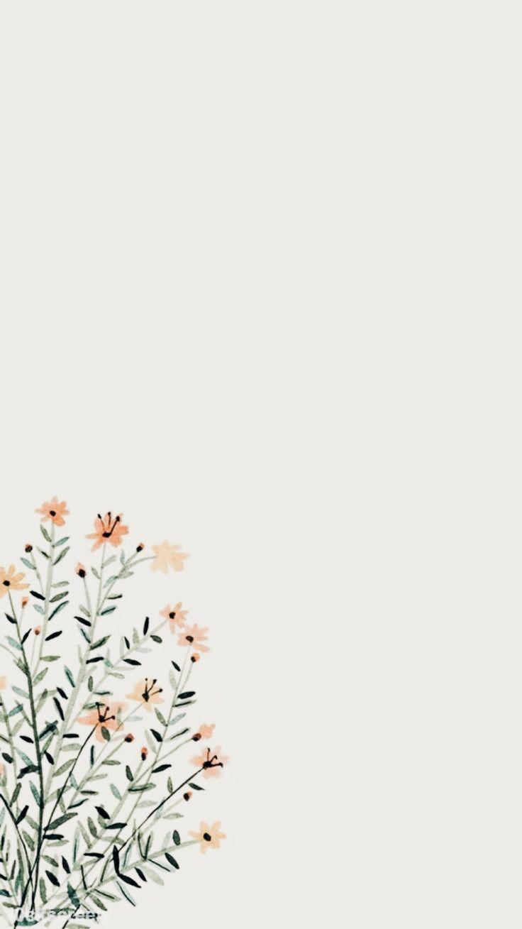 736x1309 Aesthetic Flowers Simple Wallpaper. iPhone wallpaper vsco, Simple iphone wallpaper, Aesthetic iphone wallpaper