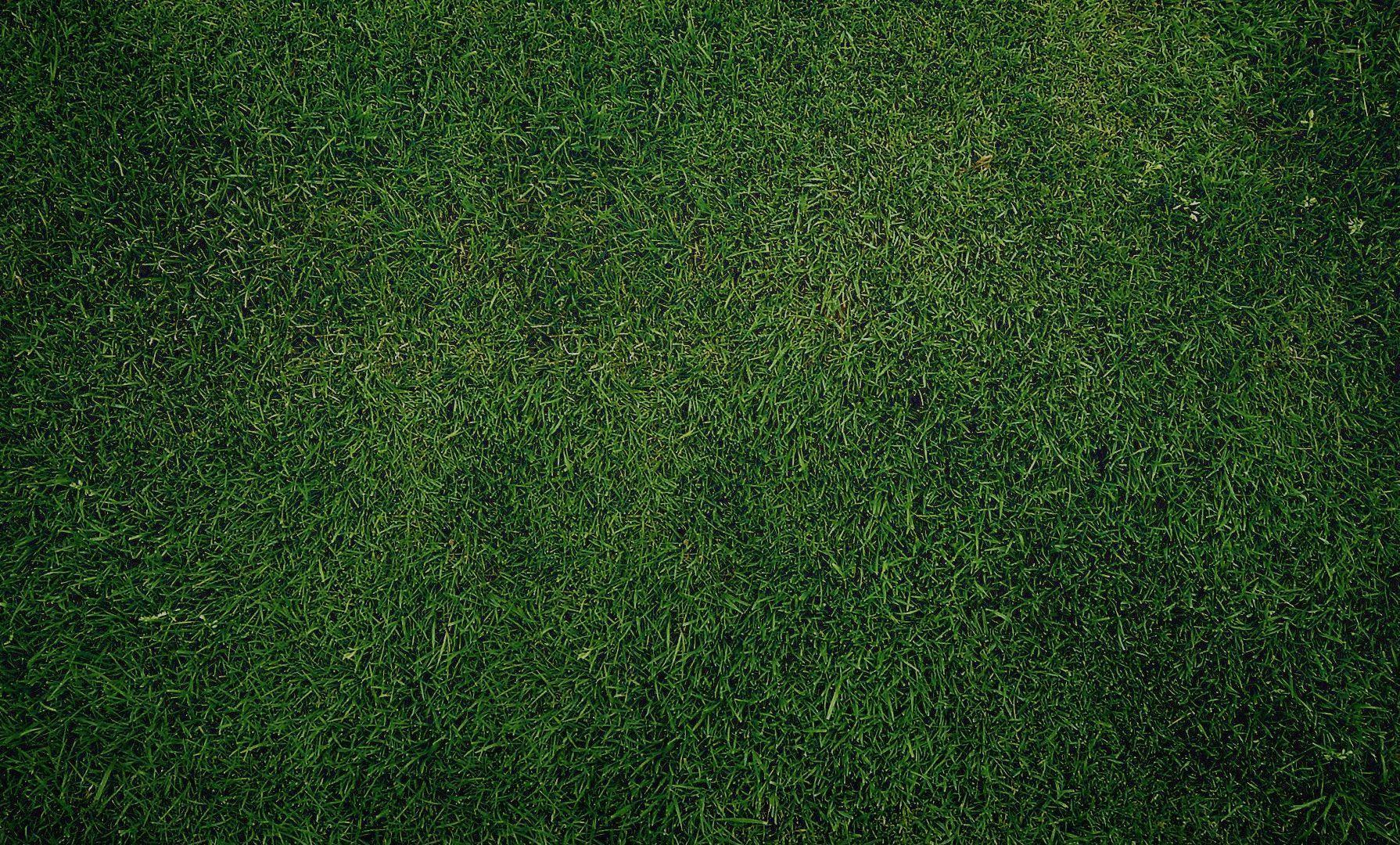 1790x1080 Green Texture Wallpaper