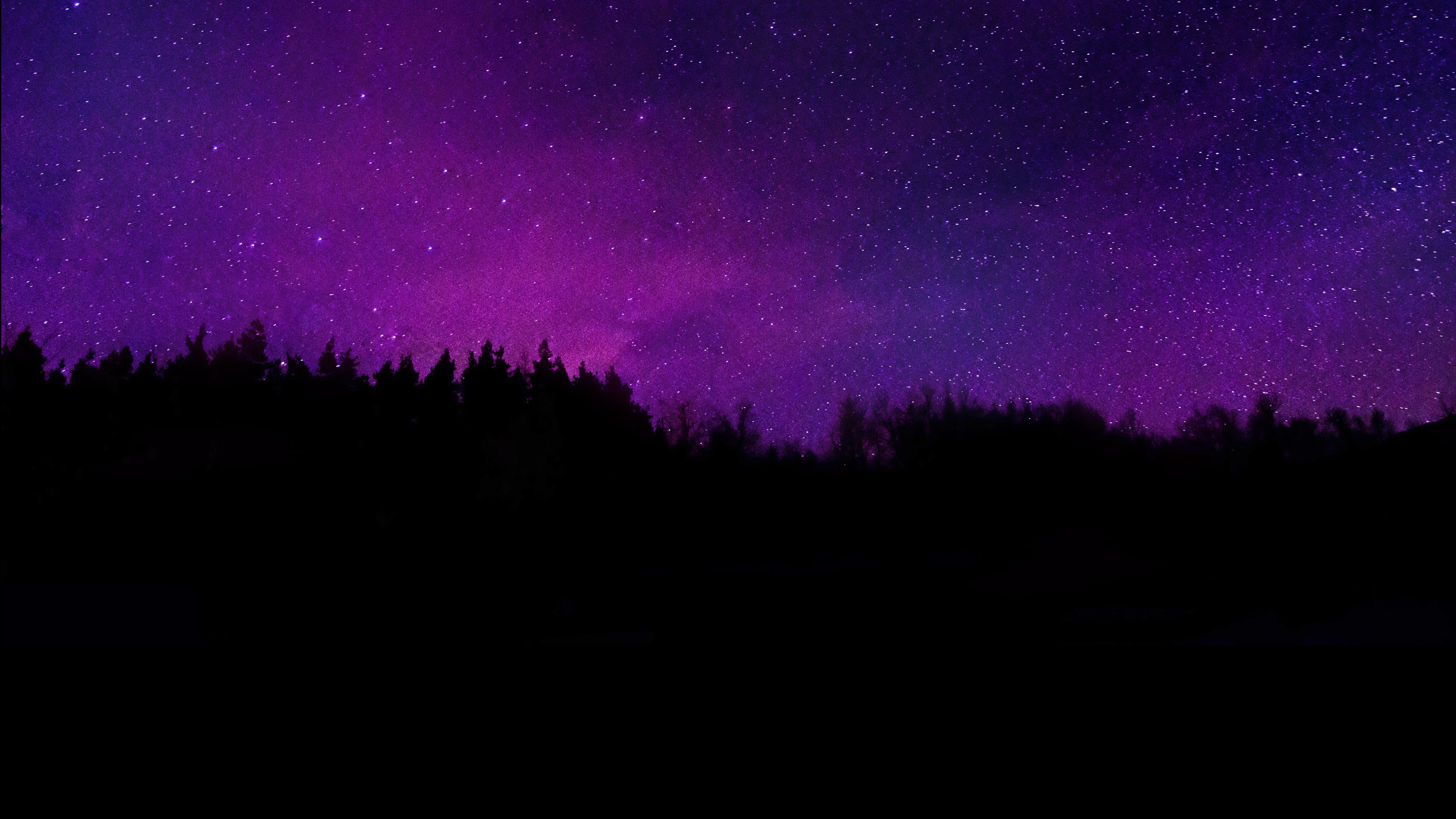 5120x2880 Trees Wallpaper 4K, Silhouette, Purple sky, Dark background, Nature