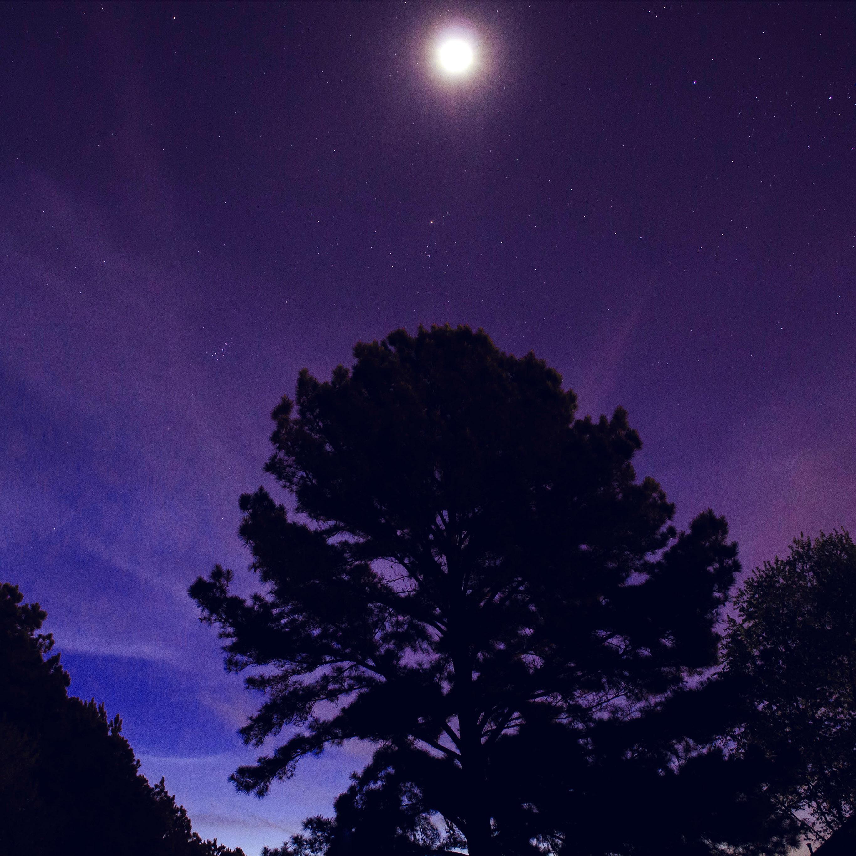 2732x2732 One Star Shine Night Dark Blue Sky Wood Purple Wallpaper