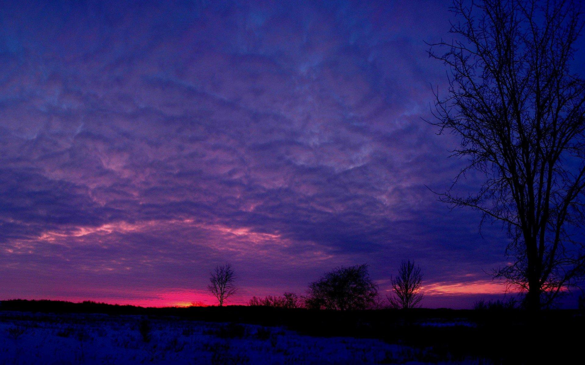 1920x1200 purple, And, Violet, Sky Wallpaper HD / Desktop and Mobile Background