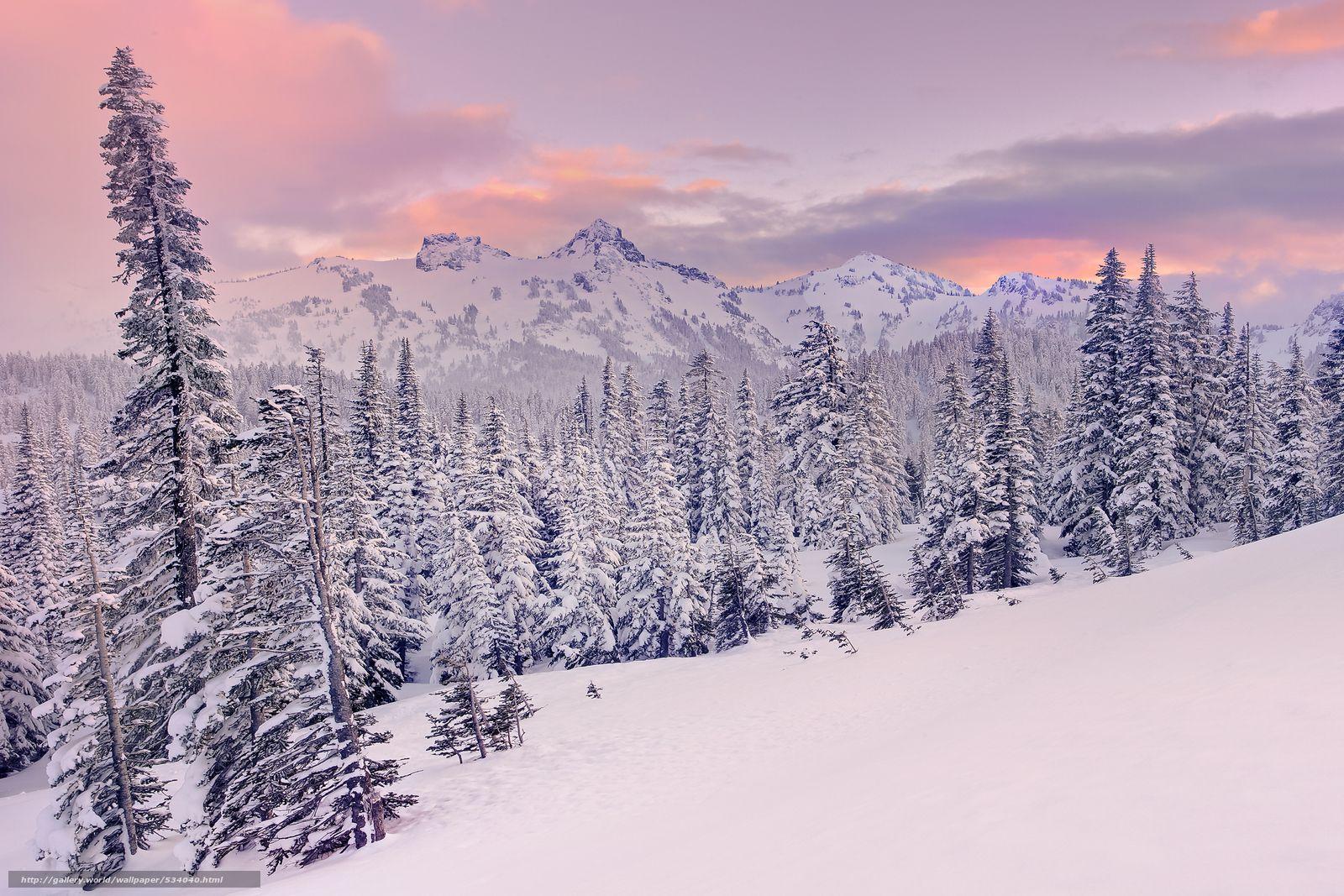 1600x1067 Mt Rainier Winter Sunset. Mountain picture, Winter sunset, Nature picture