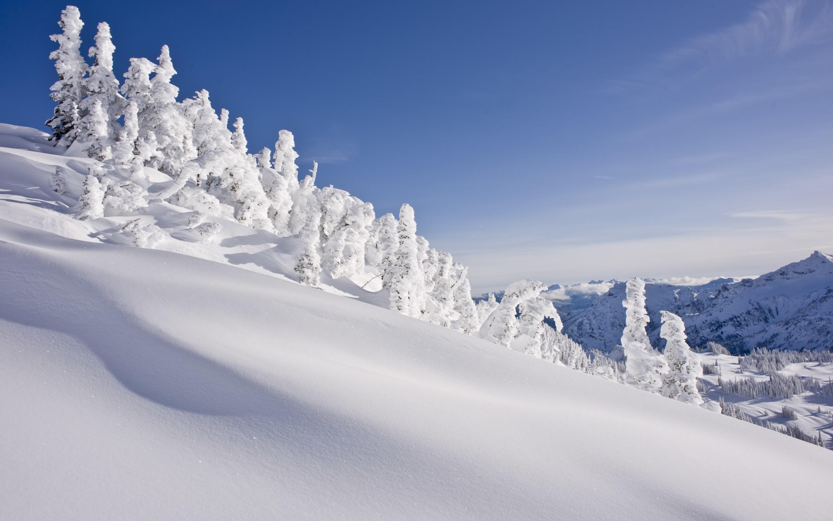 2880x1800 Mt Rainier Wallpaper Desktop