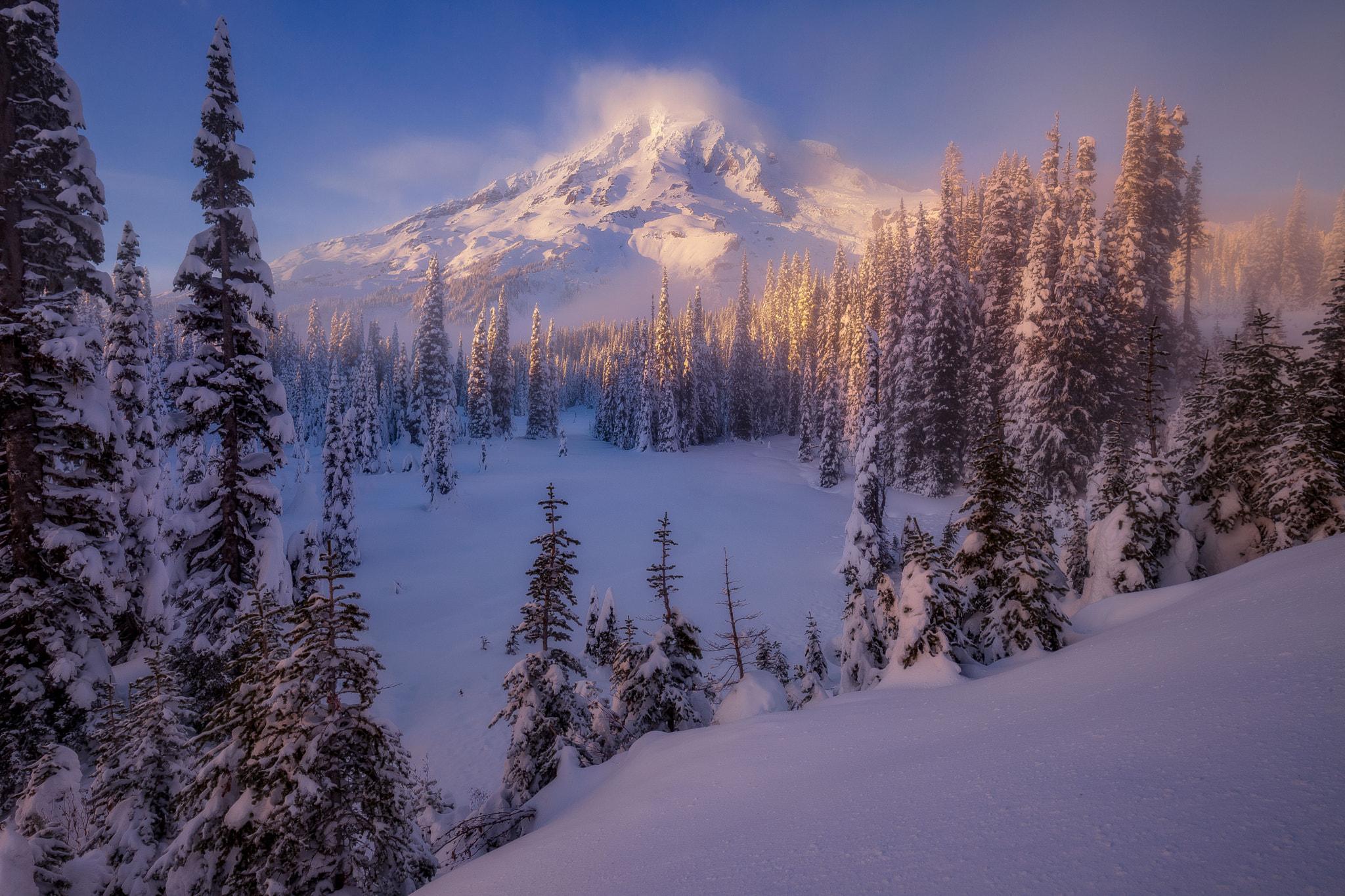 Mount Rainier Winter Wallpapers Top Free Mount Rainier Winter