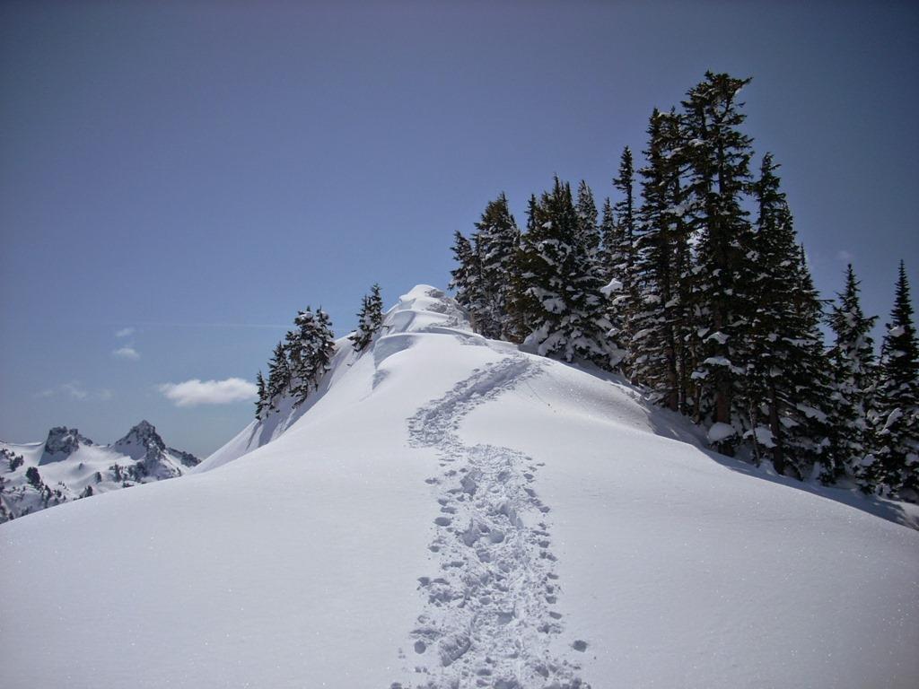 1024x768 Winter Day trip to Mt Rainier