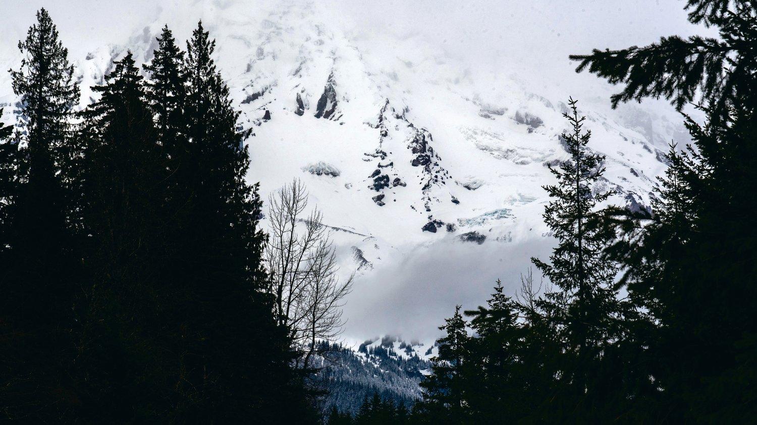 1500x844 In Focus: Winter's Final Gasps at Mount Rainier National Park. The Daily Chronicle