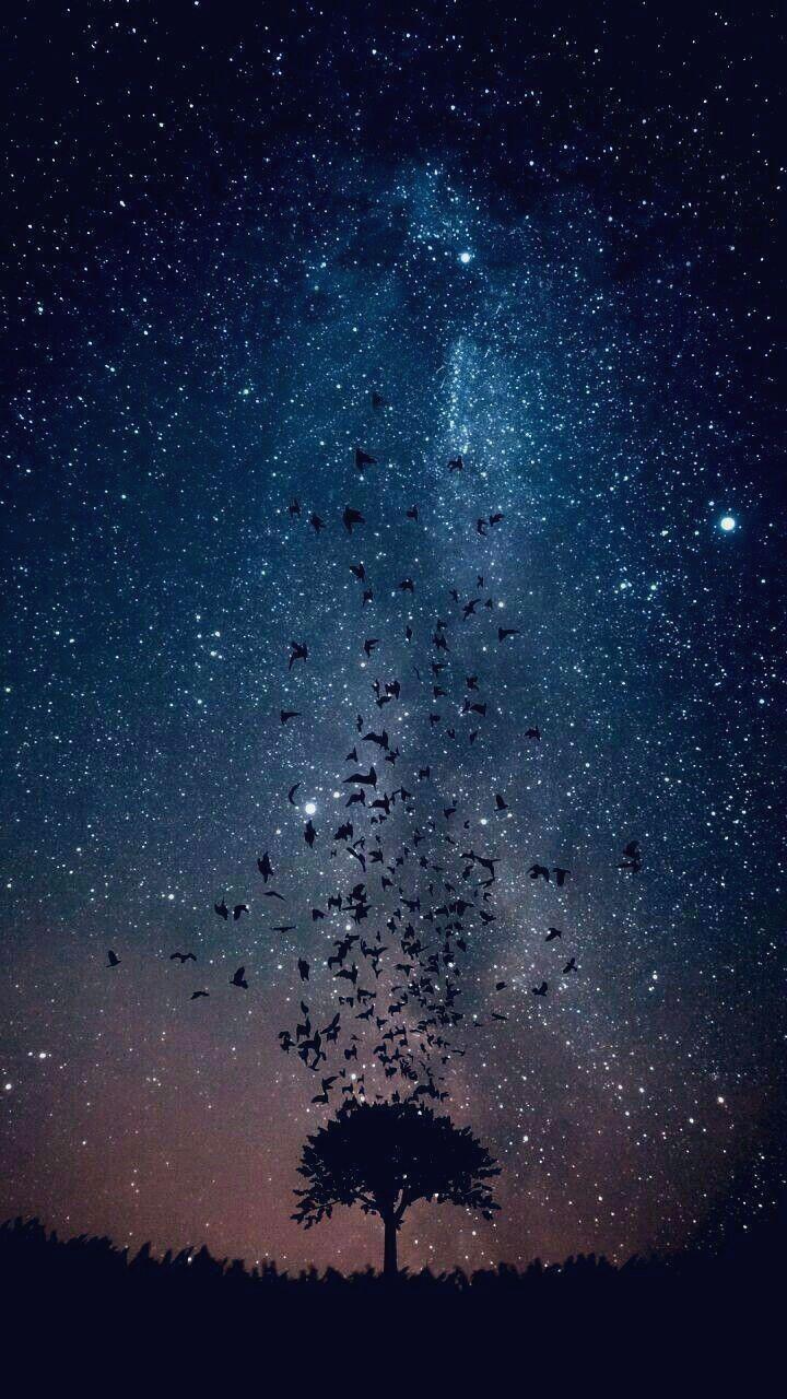 720x1280 Lock Screen Wallpaper