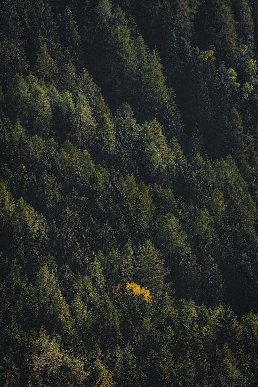 1000x1500 Lock Screen Wallpaper: Free HD Download [HQ]
