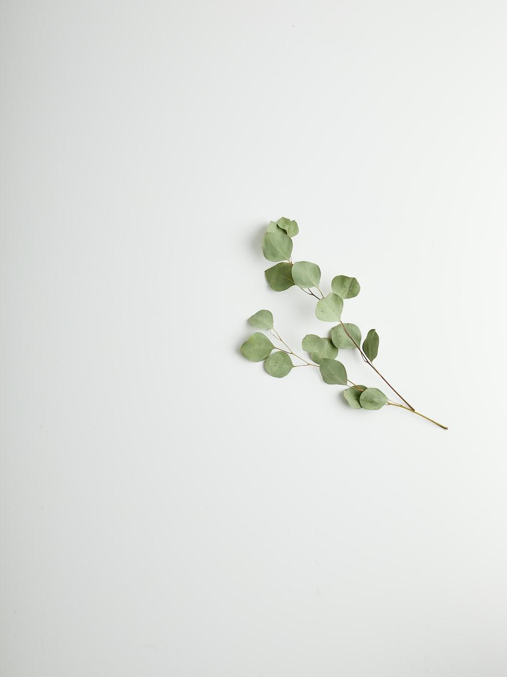 1000x1335 Lock Screen Wallpaper: Free HD Download [HQ]