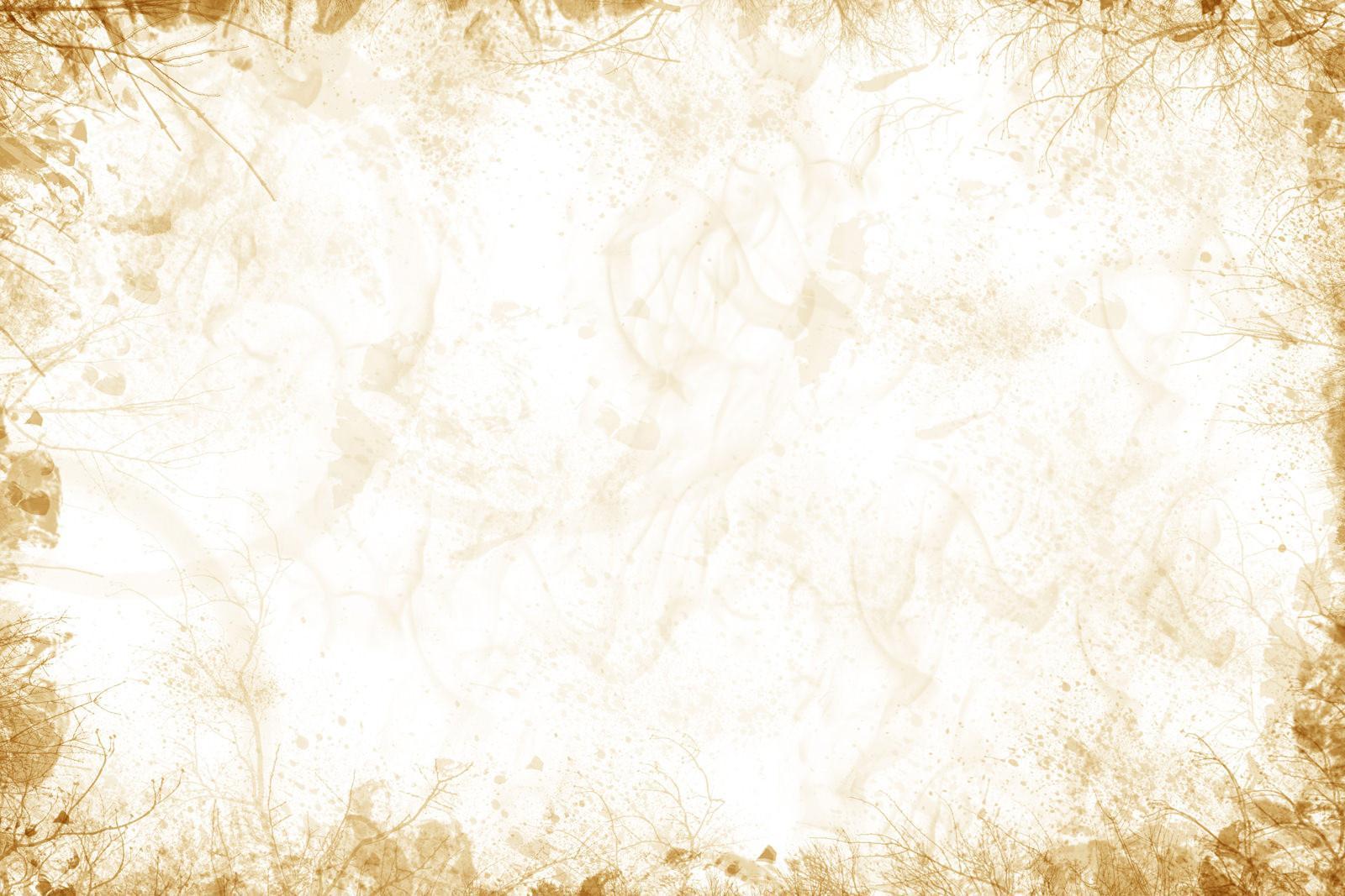 1600x1067 White Gold Wallpaper