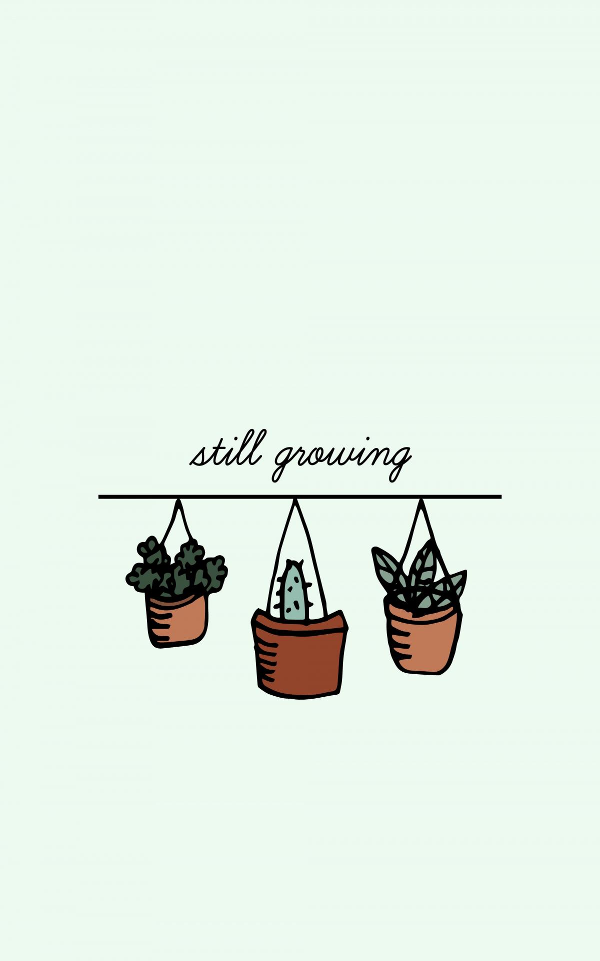 1200x1920 Plants Wallpaper