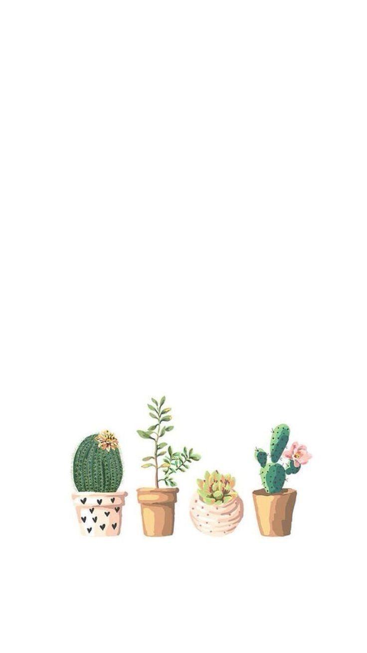 736x1308 immagine scoperto da