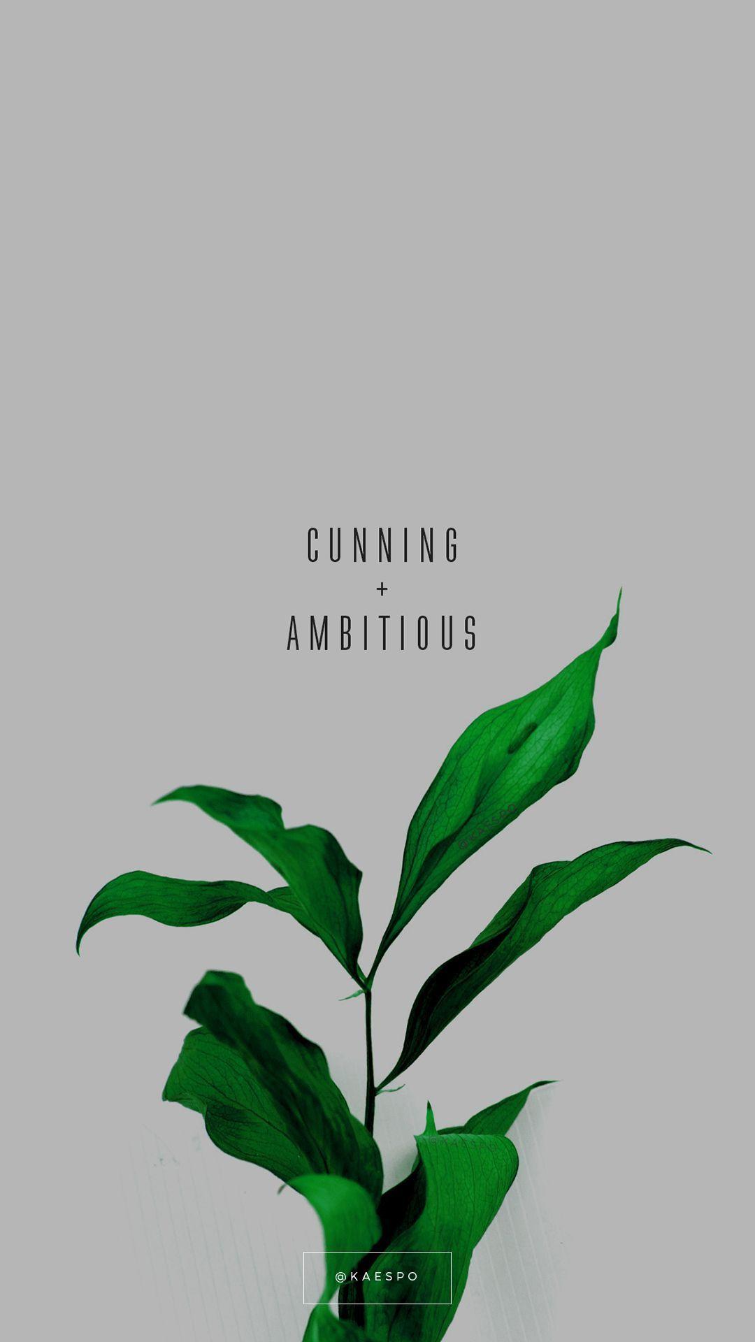 1080x1920 Plant Aesthetic Wallpaper