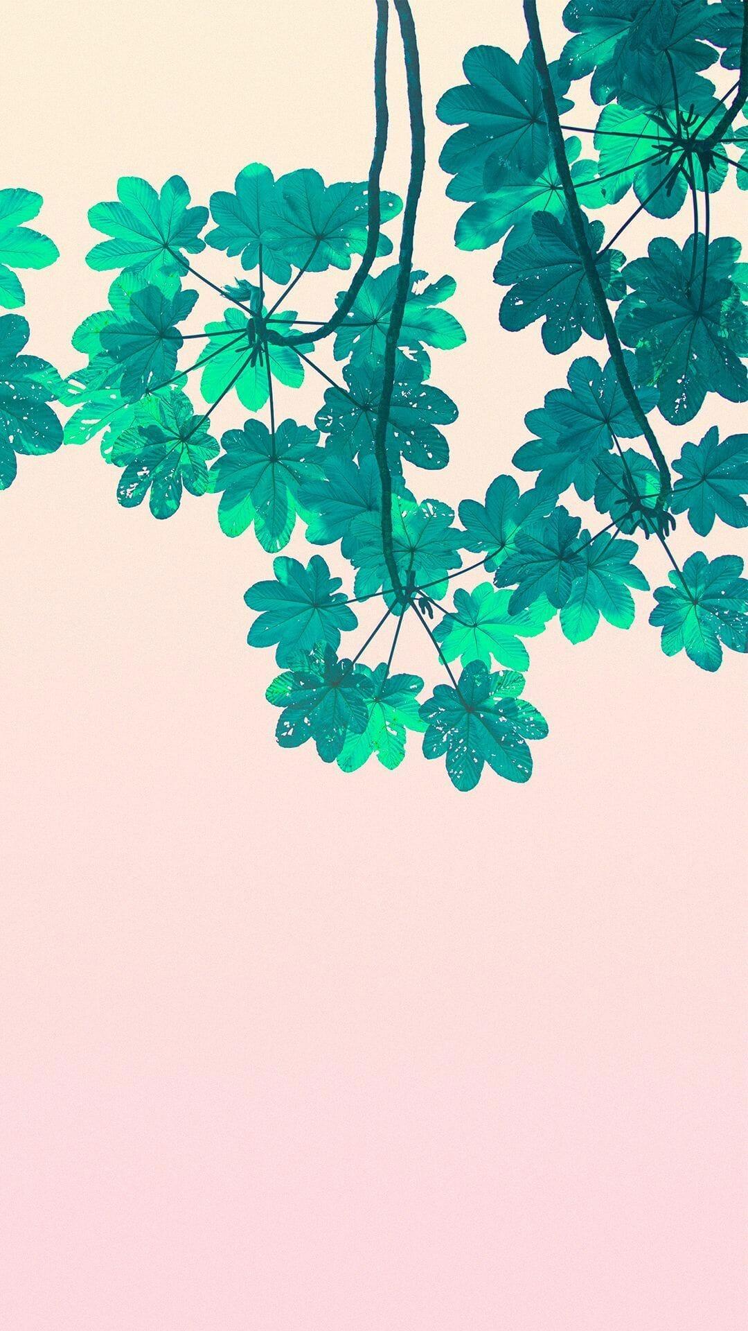 1080x1920 Plant Aesthetic, iPhone, Desktop HD Background / Wallpaper (1080p, 4k) HD Wallpaper (Desktop Background / Android / iPhone) (1080p, 4k) (1080x1920) (2022)