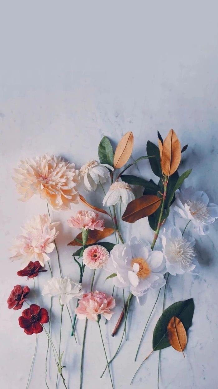 700x1244 Image about flowers in Wallpaper iPhone