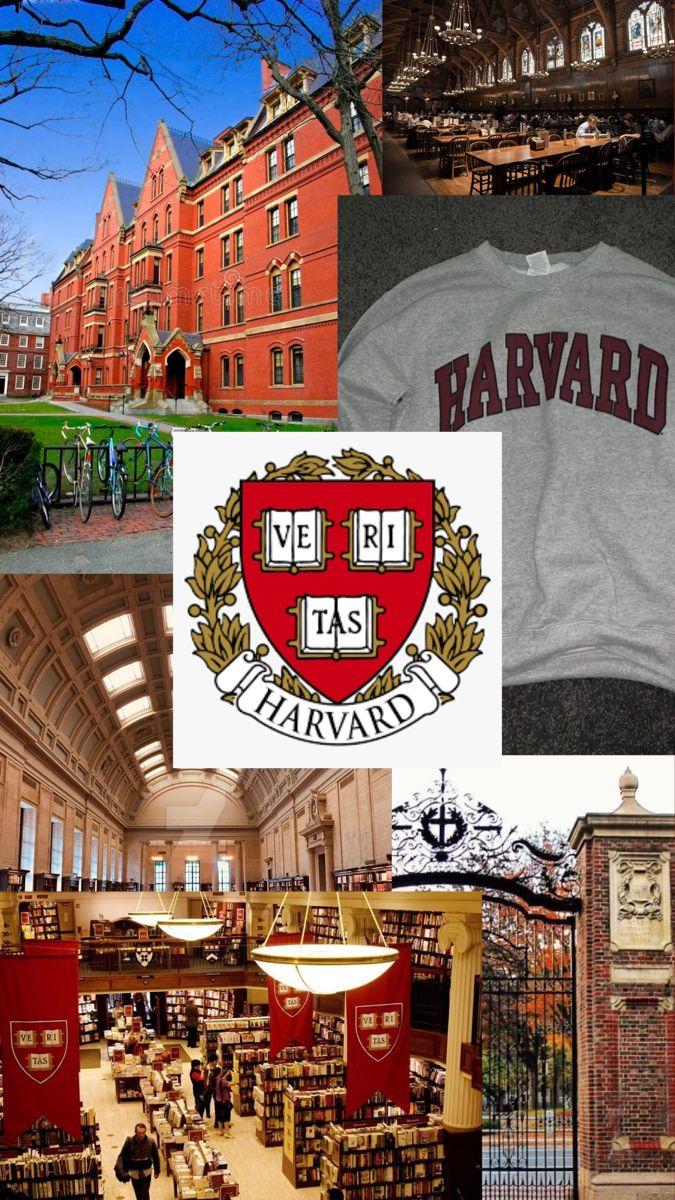 675x1200 harvard aesthetic. University inspiration, Dream college, College aesthetic