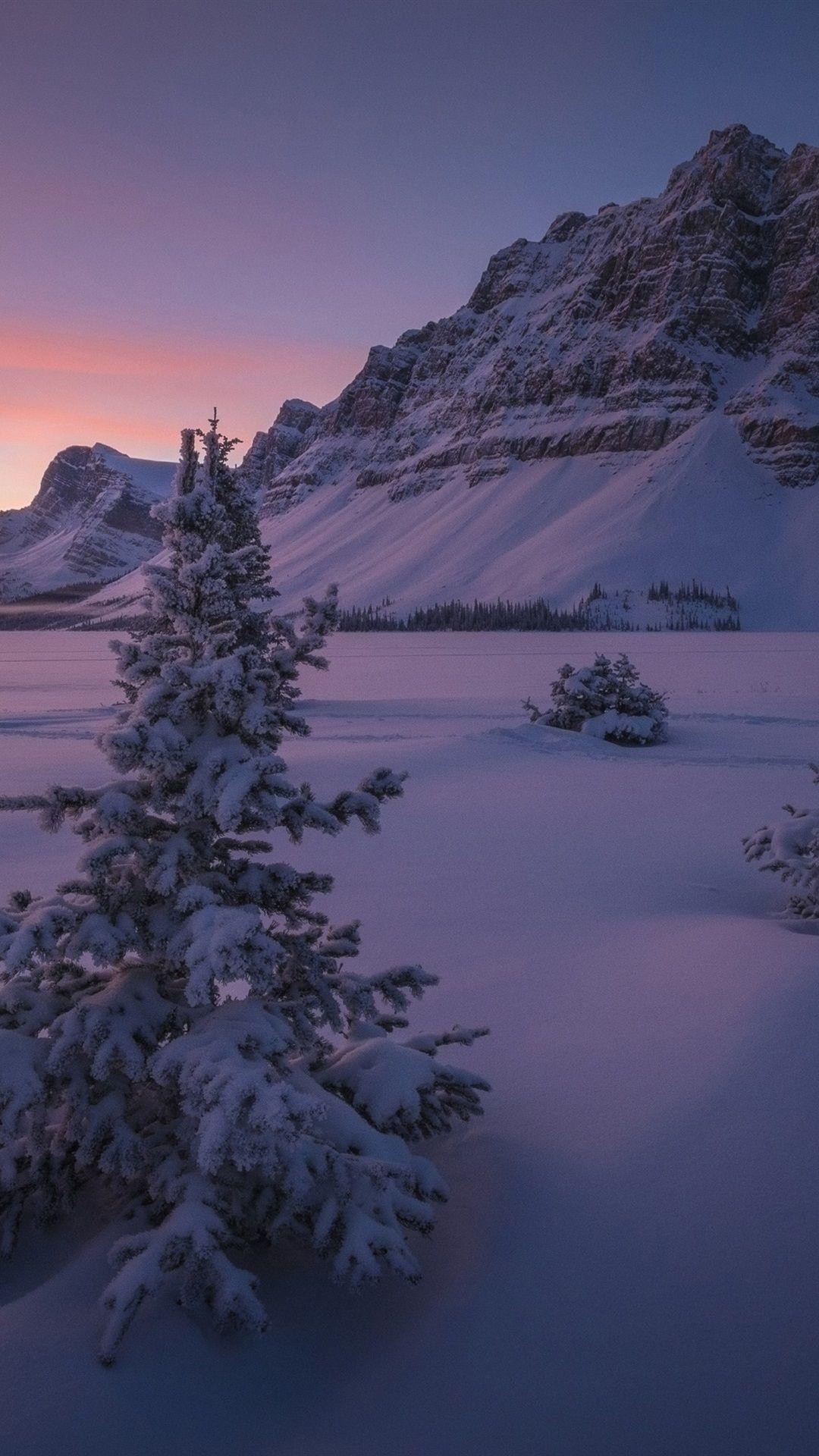 1080x1920 iPhone Winter Night Wallpaper