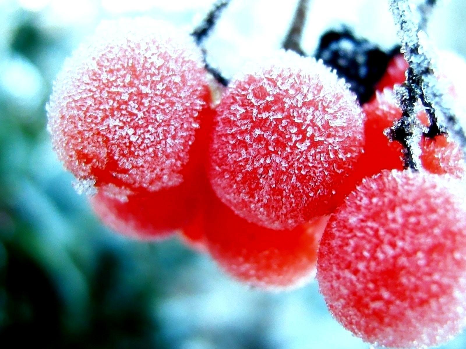 1600x1200 3D red frozen cranberries fruits in winter time
