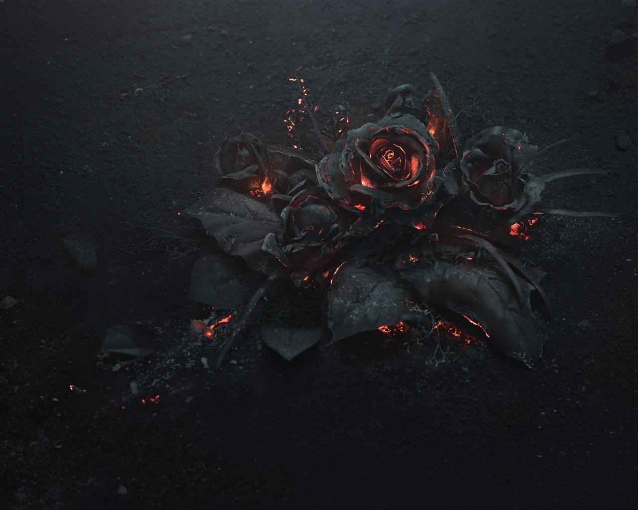 1280x1024 Wallpaper Black Rose Illustration, Ash, Burning, Abstract, Dark, Flowers • Wallpaper For You