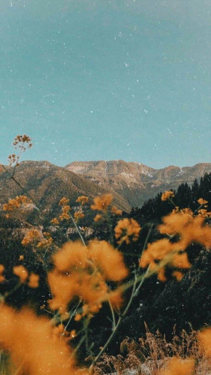 720x1280 Indie Summer Wallpaper